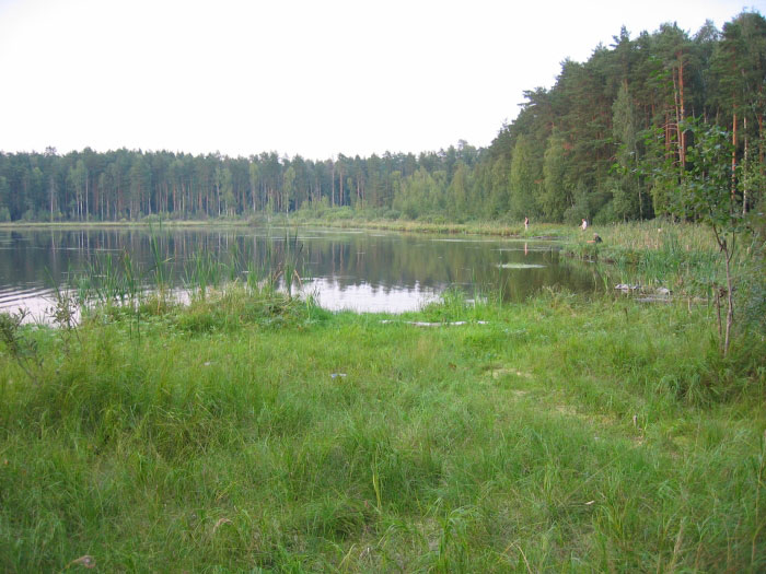 лучшие озера для рыбалки в московской области