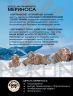 Носки Norfin T4A Arctic Merino Midweight р.(45-47) XL