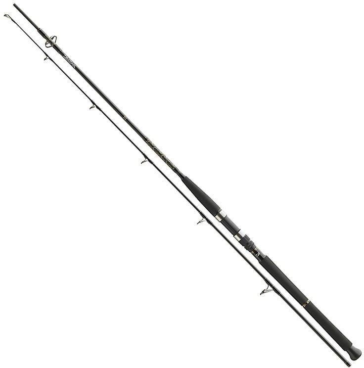 Спиннинг Daiwa BG Boat 2,4 м 150-400 гр