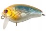 TsuYoki Agent SSR 36F 200