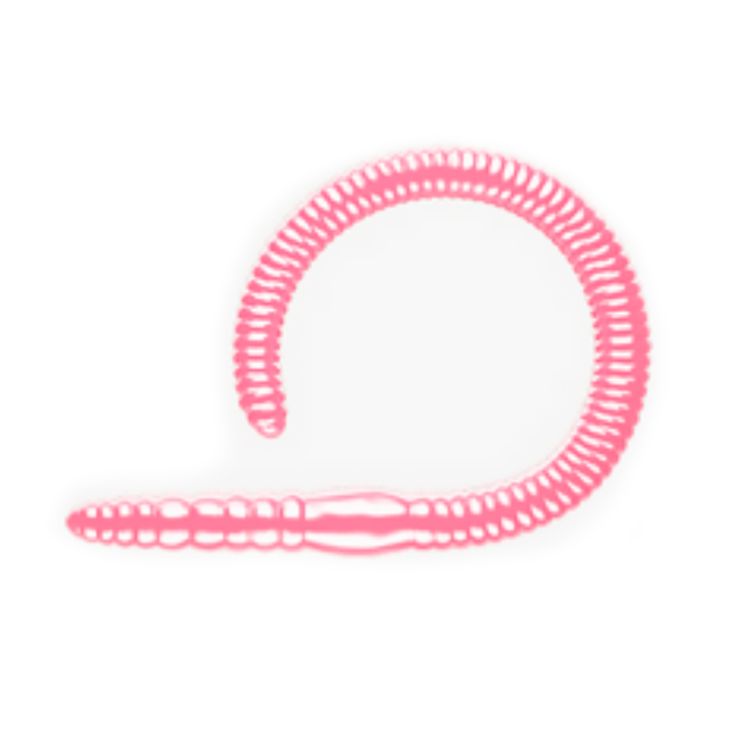 Приманка Libra Lures Flex Worm 95 (018 Pink Pearl) (Сыр) (95мм) 10 шт.