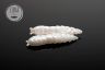 Приманка Libra Lures Kukolka 42 (004 Silver pearl) (Сыр) (4,2см) 10 шт.