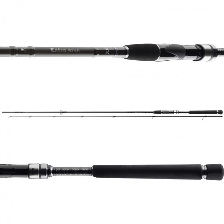 daiwa lateo seatrout